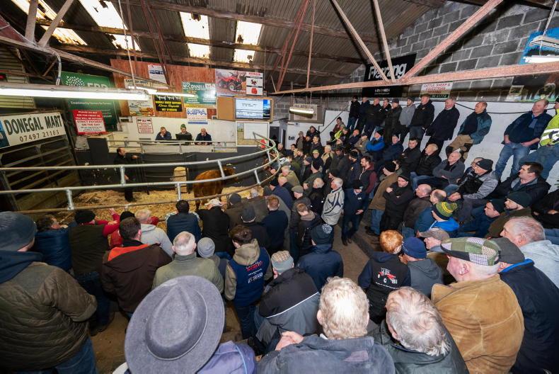 Livestock sellers feel VAT pinch Livestock sellers feel VAT pinch