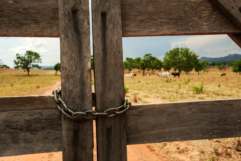 New Mercosur safeguards could see lower tariffs suspended New Mercosur safeguards could see lower tariffs suspended