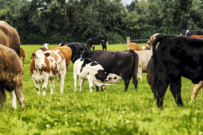 Watchdog sounds the alarm on next CAP Watchdog sounds the alarm on next CAP