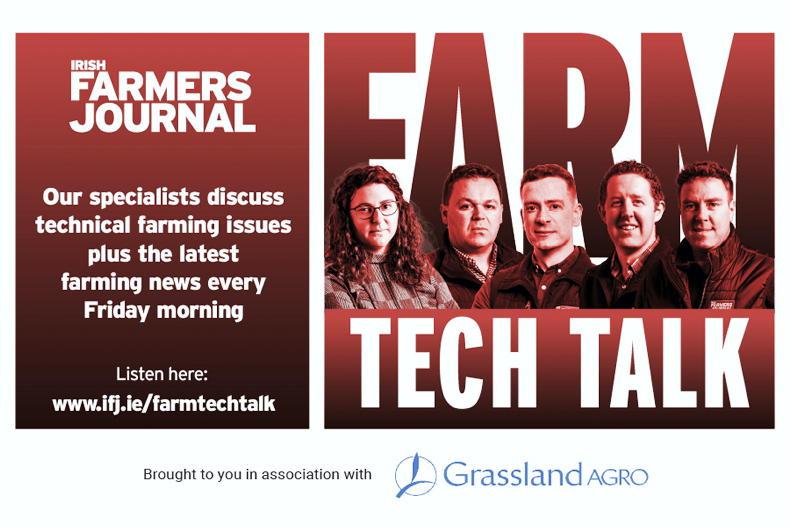 Farm Tech Talk: calf trade, Mercosur safeguards and wool insulation Farm Tech Talk: calf trade, Mercosur safeguards and wool insulation