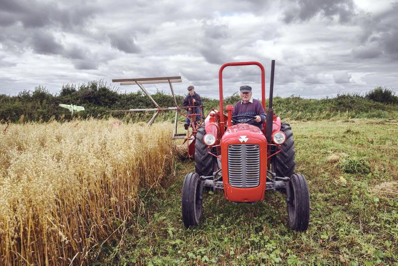 Photographer wins prestigious national press award with agricultural video Photographer wins prestigious national press award with agricultural video