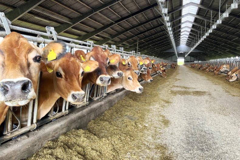 EU backs Denmark’s €1bn plan to take farms out of production EU backs Denmark’s €1bn plan to take farms out of production