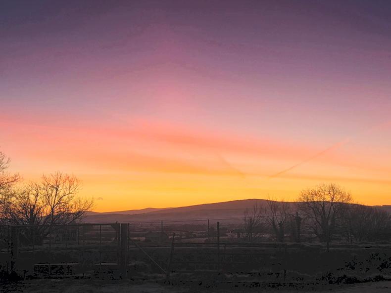 Grazing still feels quite a long way off Grazing still feels quite a long way off