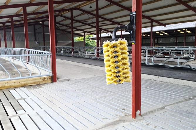 Urgent overhaul of TAMS application process needed, says leading planner Urgent overhaul of TAMS application process needed, says leading planner