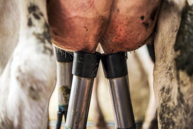 January milk prices hold at Tirlán as co-op to fill VAT gap January milk prices hold at Tirlán as co-op to fill VAT gap