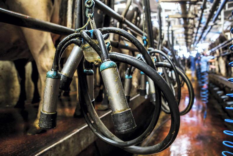 Reported health issues in 25% of Danish Bovaer herds prompts EFSA assessment Reported health issues in 25% of Danish Bovaer herds prompts EFSA assessment