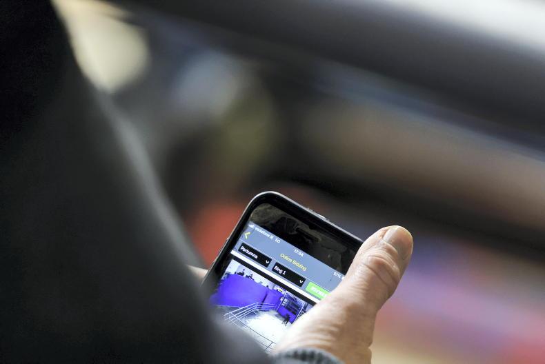 Live exports fall by 53% year on year Live exports fall by 53% year on year