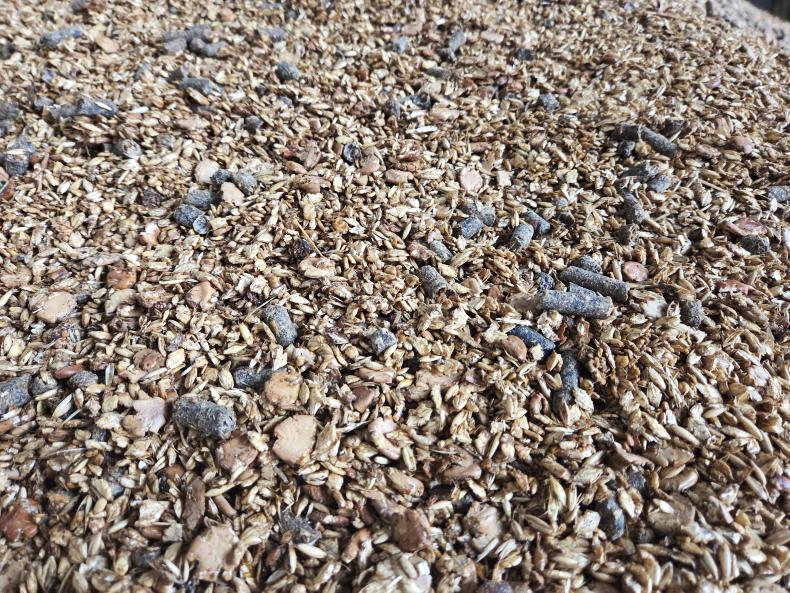 Editorial: discussion needed on native grain Editorial: discussion needed on native grain