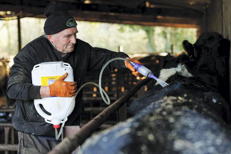 Beef Management: fodder supplies, calf health and lice Beef Management: fodder supplies, calf health and lice