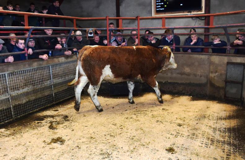 Northern View: factories shave 2p/kg off base quotes Northern View: factories shave 2p/kg off base quotes