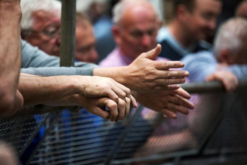 Opening border to NI for live exports 'not without its risks' - Minister Opening border to NI for live exports 'not without its risks' - Minister