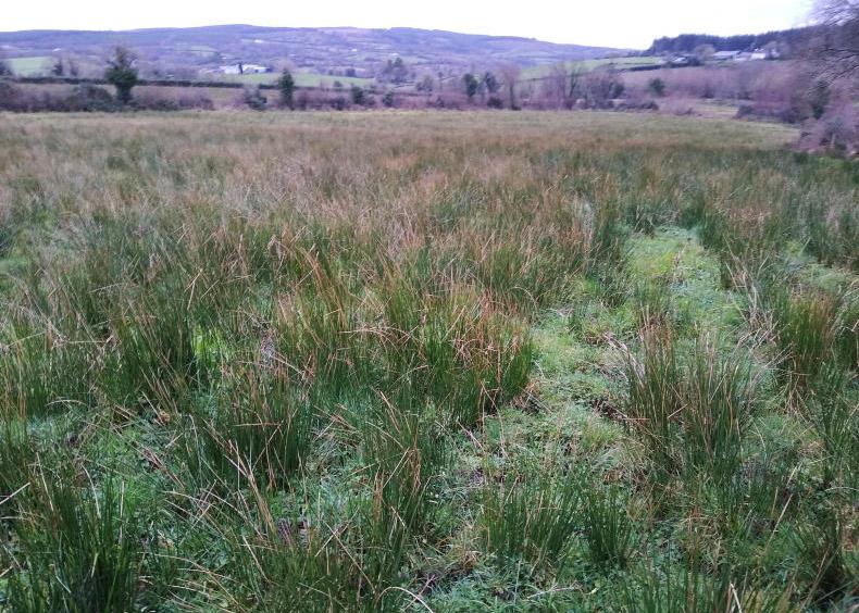 Over 45,000ha added to 2026 farm maps Over 45,000ha added to 2026 farm maps