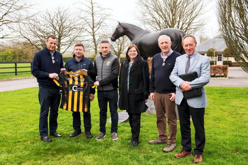 Coolmore Stud gifts land to GAA club