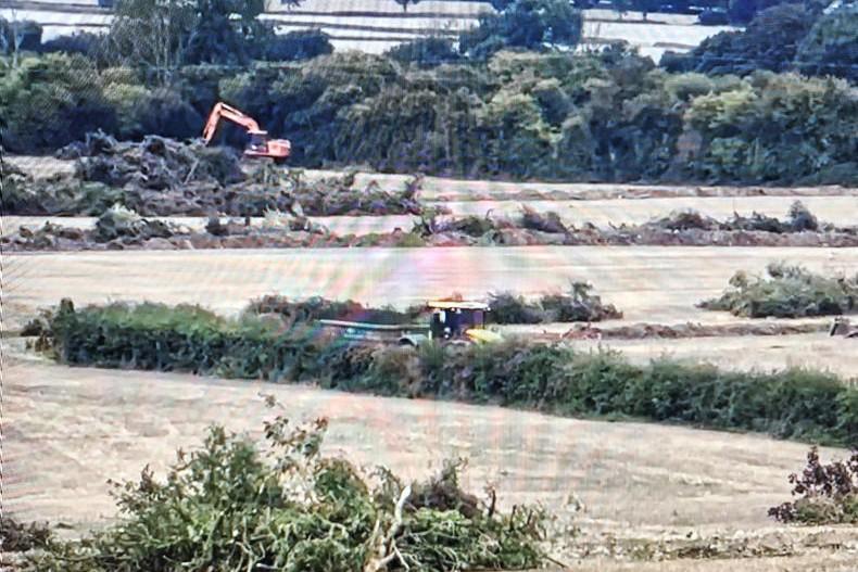 Court fine of €100,000 for company linked to Coolmore for hedgerow removal Court fine of €100,000 for company linked to Coolmore for hedgerow removal