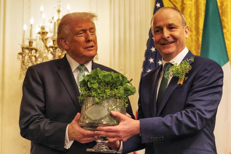 Irish farming must look east Irish farming must look east