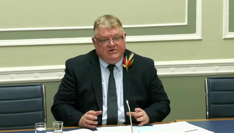 McAleer makes case for ANC McAleer makes case for ANC