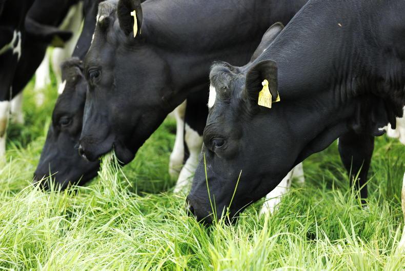 The Grass Week: improved weather and moods as stock go out The Grass Week: improved weather and moods as stock go out