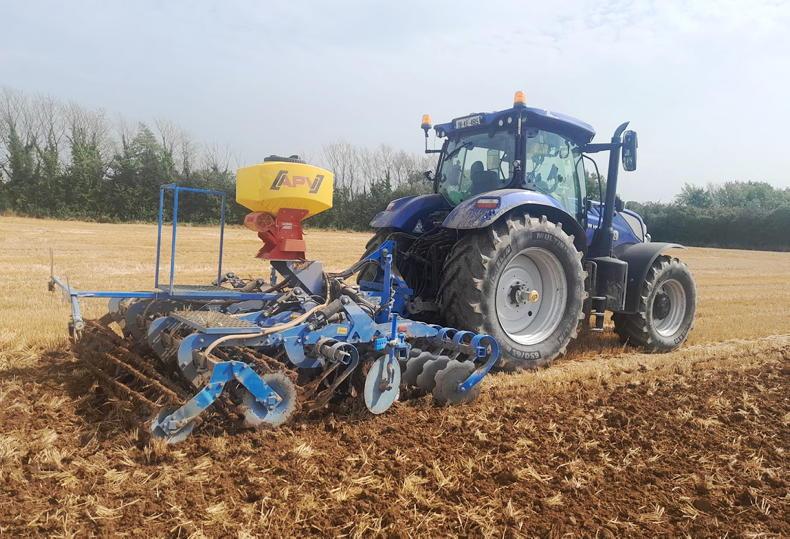 Catch crops: when to sow, what to plant and how to get them established Catch crops: when to sow, what to plant and how to get them established