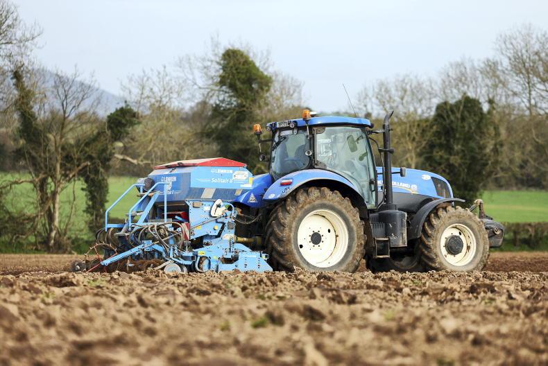 Catch crops: when to sow, what to plant and how to get them established Catch crops: when to sow, what to plant and how to get them established