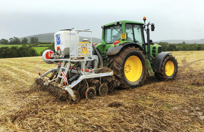 Catch crops: when to sow, what to plant and how to get them established Catch crops: when to sow, what to plant and how to get them established