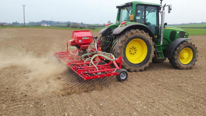 Catch crops: when to sow, what to plant and how to get them established Catch crops: when to sow, what to plant and how to get them established