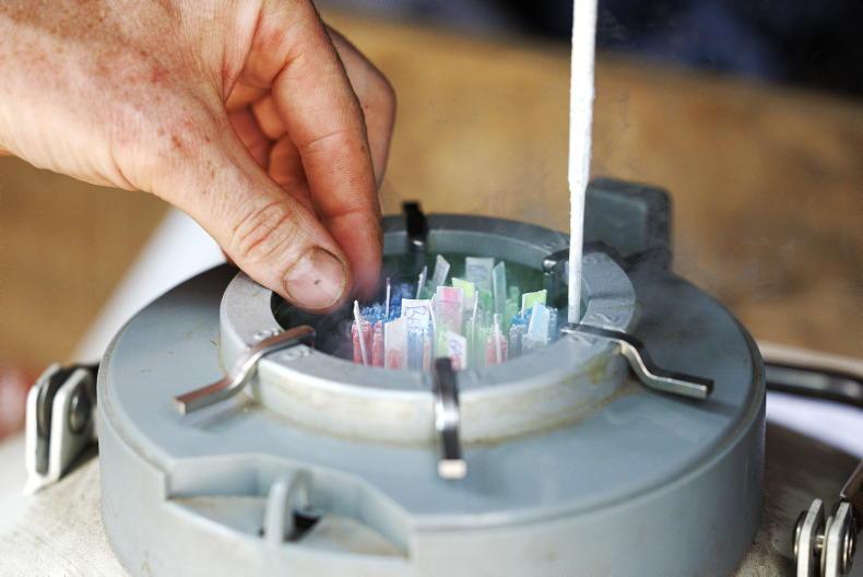 Demand for sexed semen ‘on par with last year’ Demand for sexed semen ‘on par with last year’