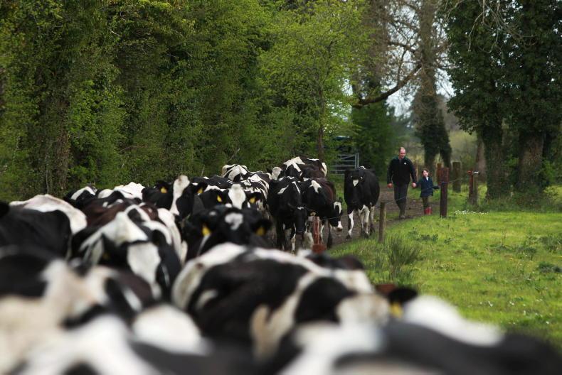 Tirlán to hold milk prices at 35c/l ex VAT until May Tirlán to hold milk prices at 35c/l ex VAT until May
