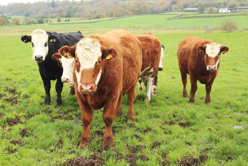 Spring reminds us grazing can be hard Spring reminds us grazing can be hard