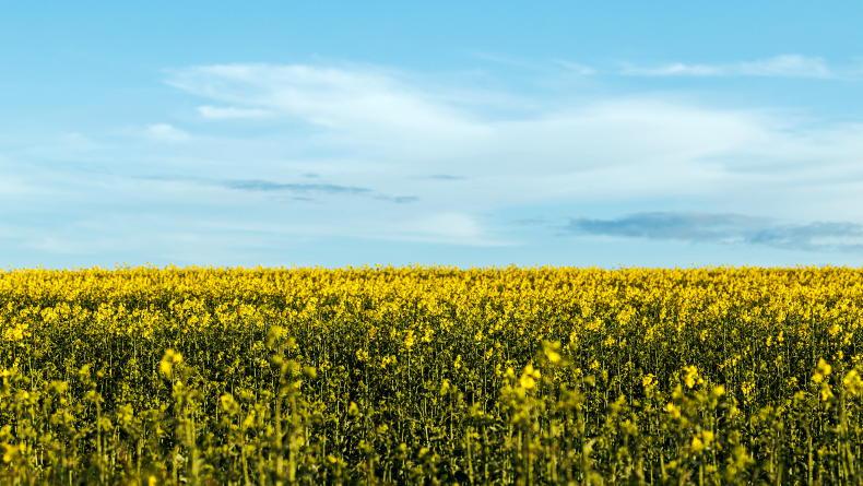 Weekend weather: drier weather on the way Weekend weather: drier weather on the way