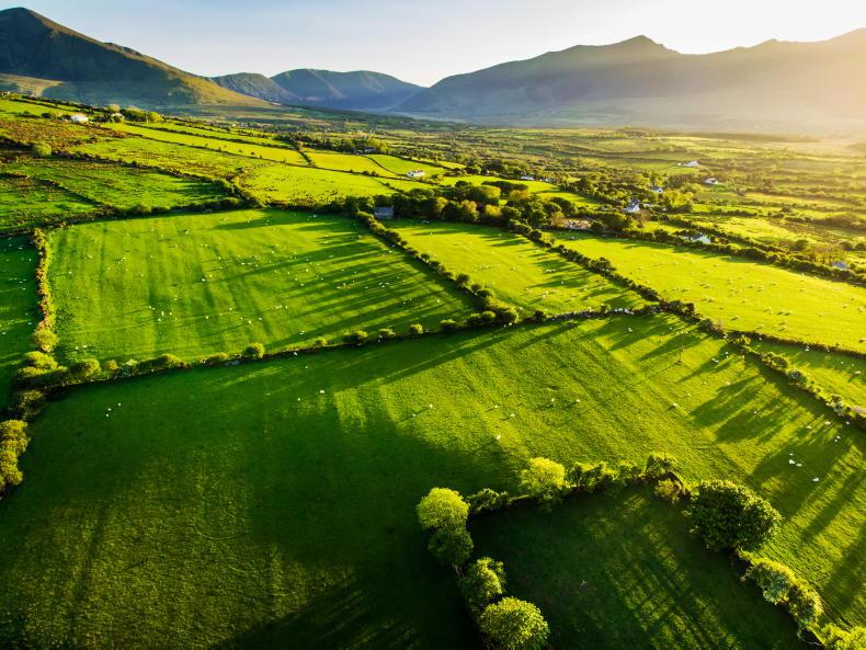 Keeping the countryside healthy Keeping the countryside healthy