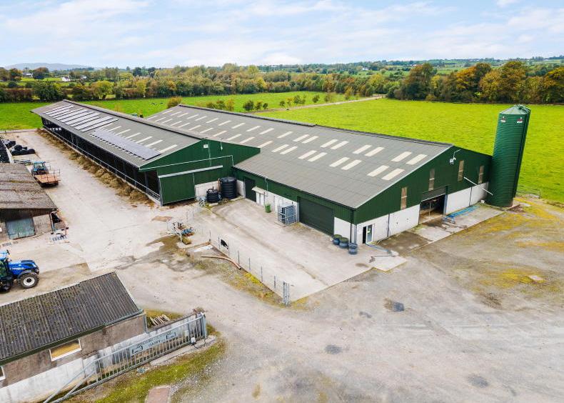 Investment in Rockwell adds ‘another string’ to the Coolmore Stud bow Investment in Rockwell adds ‘another string’ to the Coolmore Stud bow
