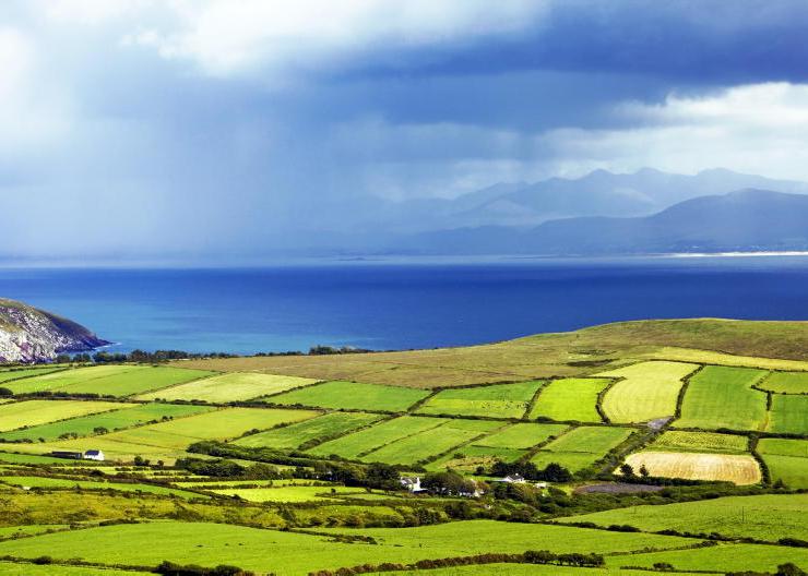EU proposals could lead to ‘less common CAP’ EU proposals could lead to ‘less common CAP’