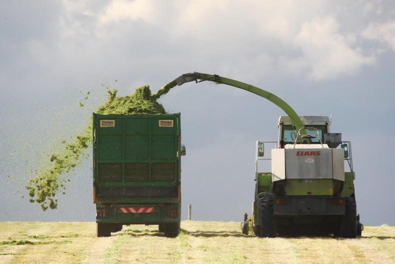 Silage 2026 photo competition: send us your photos Silage 2026 photo competition: send us your photos
