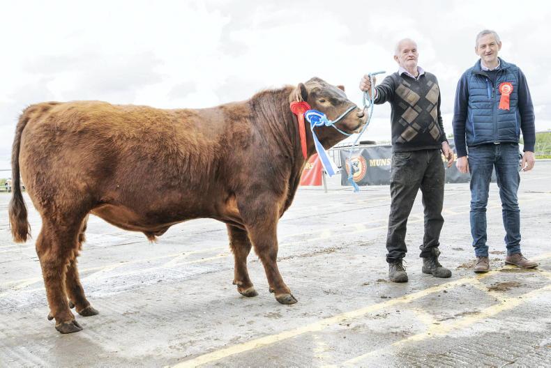 Red Albert receives the highest price in Munster Red Albert receives the highest price in Munster