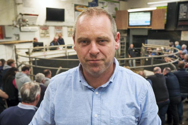 Watch: full clearance for organic cattle in Elphin Mart Watch: full clearance for organic cattle in Elphin Mart