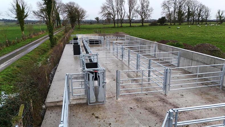 Ticking TAMS box for cattle crushes Ticking TAMS box for cattle crushes