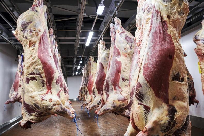 Beef Trends: lowest cow kill in 2026 Beef Trends: lowest cow kill in 2026