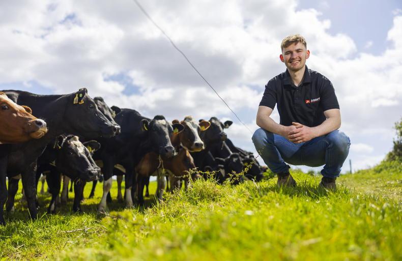 My Farming Week: Killian O’Connell, Bunmahon, Co Waterford My Farming Week: Killian O’Connell, Bunmahon, Co Waterford