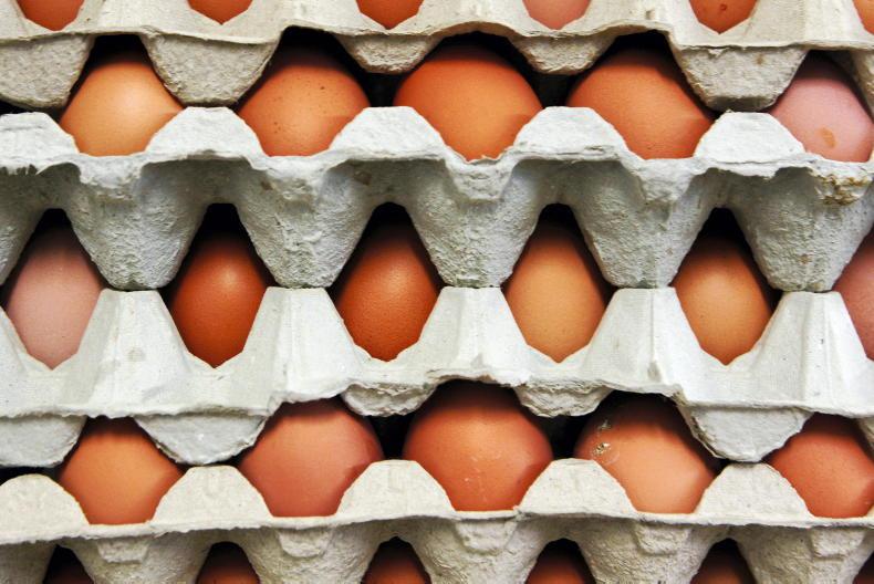 IFA warns of egg shortage on shop shelves IFA warns of egg shortage on shop shelves