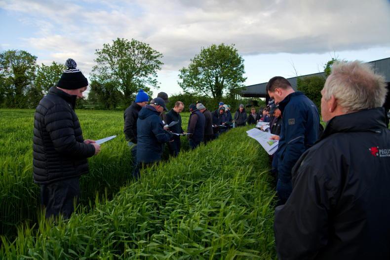 Tillage Management: rain welcomed, but weeds and disease need to be tackled Tillage Management: rain welcomed, but weeds and disease need to be tackled