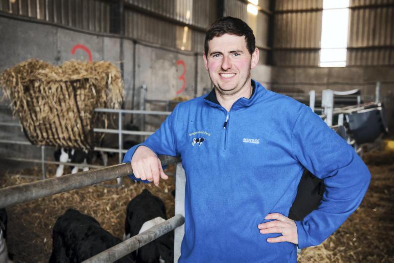 Farmer Writes: breeding is moving as silage kicks off Farmer Writes: breeding is moving as silage kicks off
