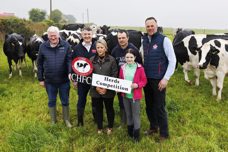 Cork Holstein Friesian Club launches herds competition Cork Holstein Friesian Club launches herds competition