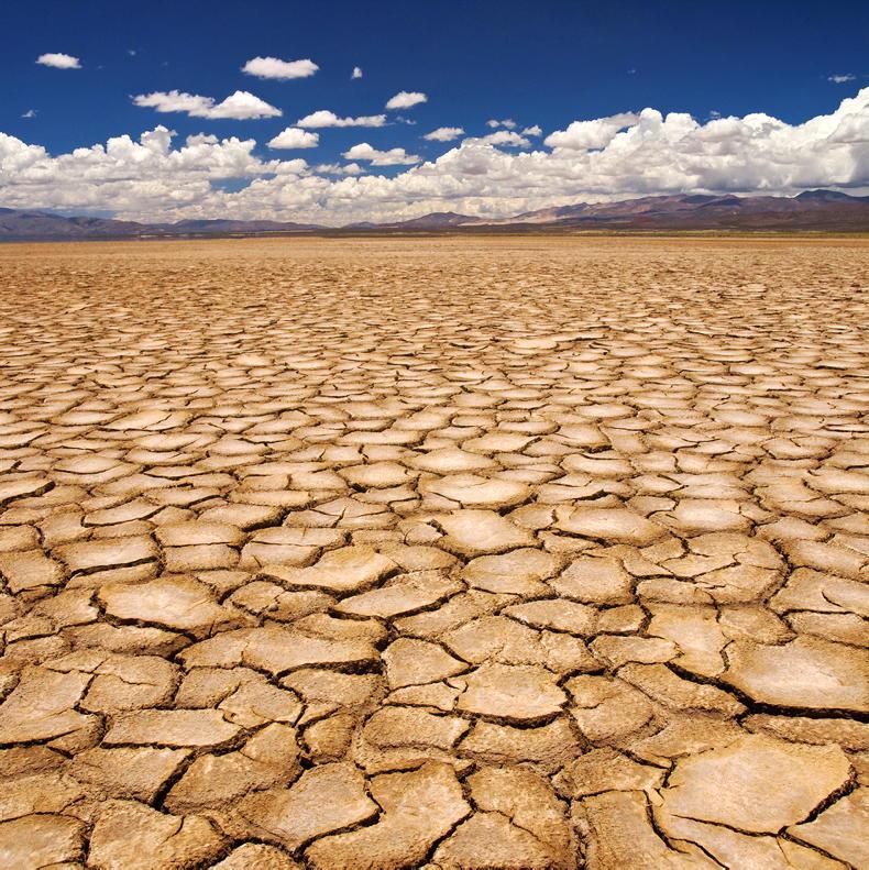 Global food prices could be in for a supply shock Global food prices could be in for a supply shock