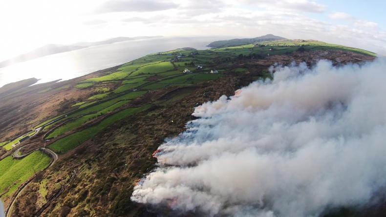 Little or no prescribed burning in NI uplands Little or no prescribed burning in NI uplands