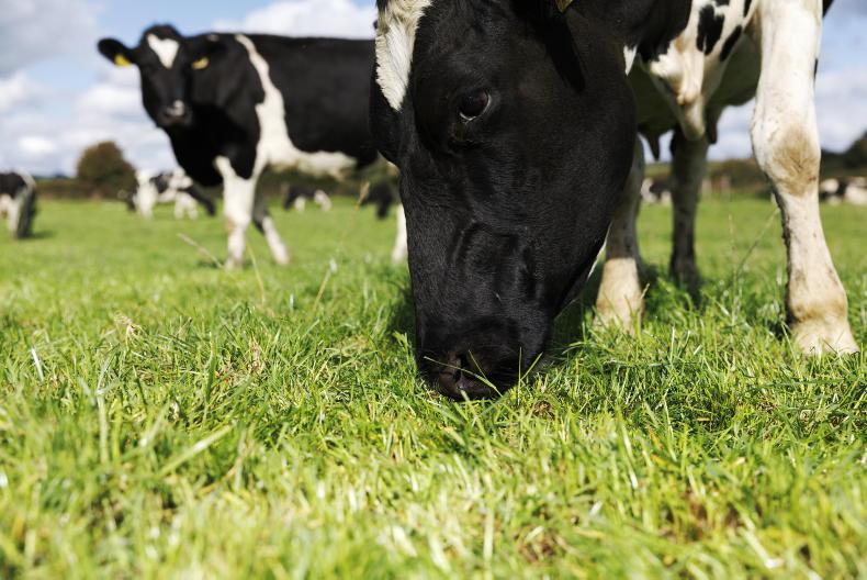 Editorial: milk league - €20,000 milk price gap Editorial: milk league - €20,000 milk price gap