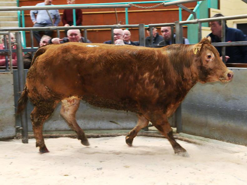 Plethora of charges at slaughter in NI Plethora of charges at slaughter in NI
