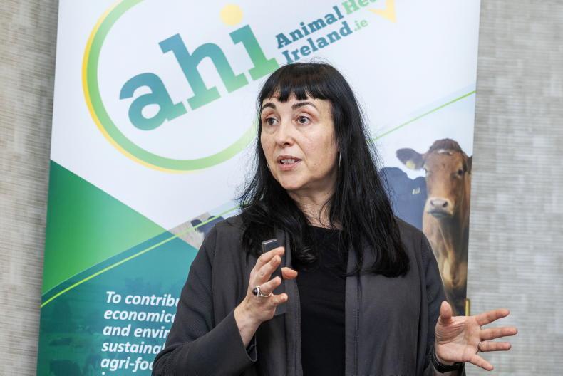 ‘Last push’ required to rid herds of BVD ‘Last push’ required to rid herds of BVD