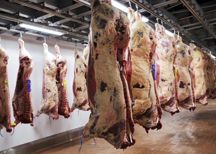 Pressure on beef trade continues
Pressure on beef trade continues