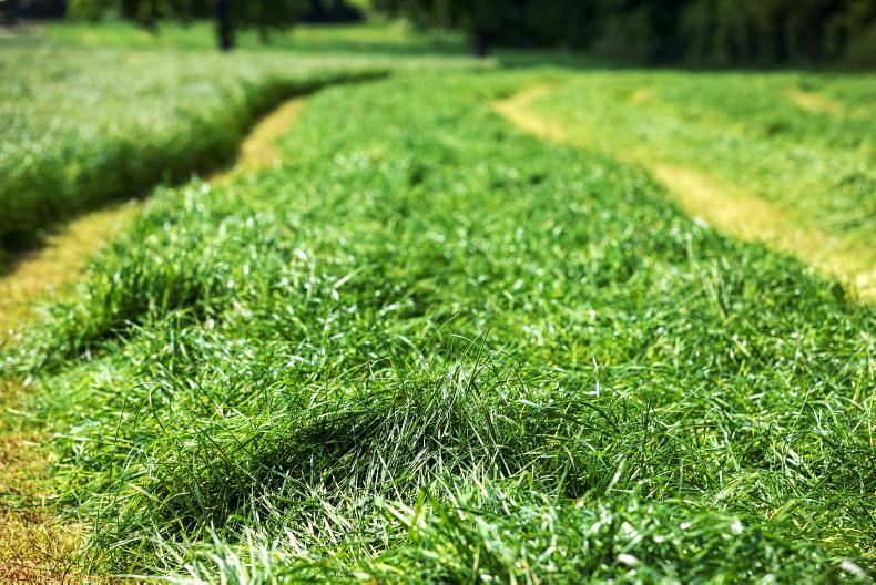 The Grass Week: controlling cover is name of the game The Grass Week: controlling cover is name of the game