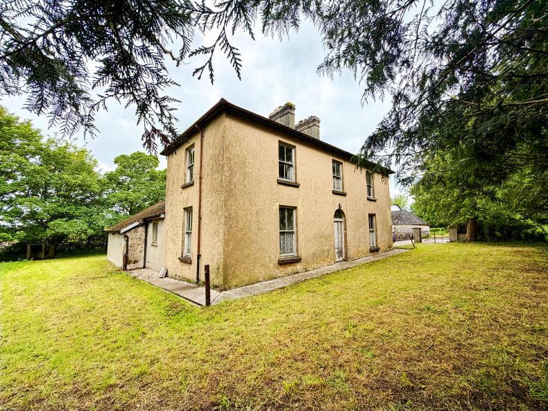 Price tag of €2.5m for substantial holding in the heart of the Golden Vale Price tag of €2.5m for substantial holding in the heart of the Golden Vale
